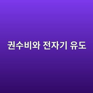변압기는 어떤 원리로 전압을 높이고 낮출까? 권수비와 전자기 유도 원리 4 eab68cec8898ebb984ec9980 eca084ec9e90eab8b0 ec9ca0eb8f84 1788100591
