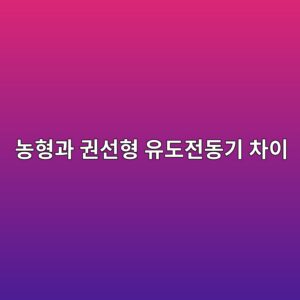 eb868ded9895eab3bc eab68cec84a0ed9895 ec9ca0eb8f84eca084eb8f99eab8b0 ecb0a8ec9db4 1788262026
